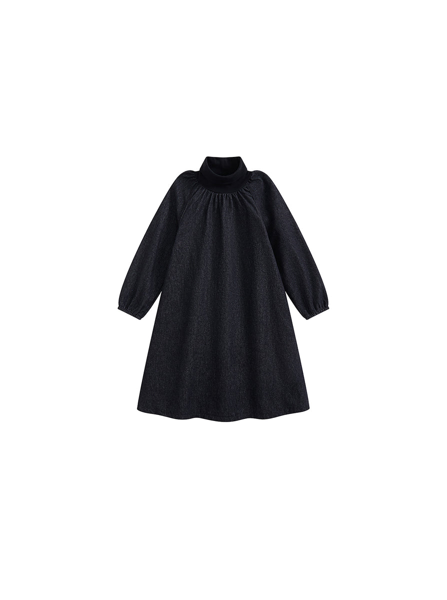 Denim Turtleneck Dress 10