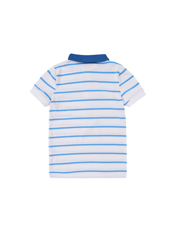 Combo Collar Short Sleeve Polo