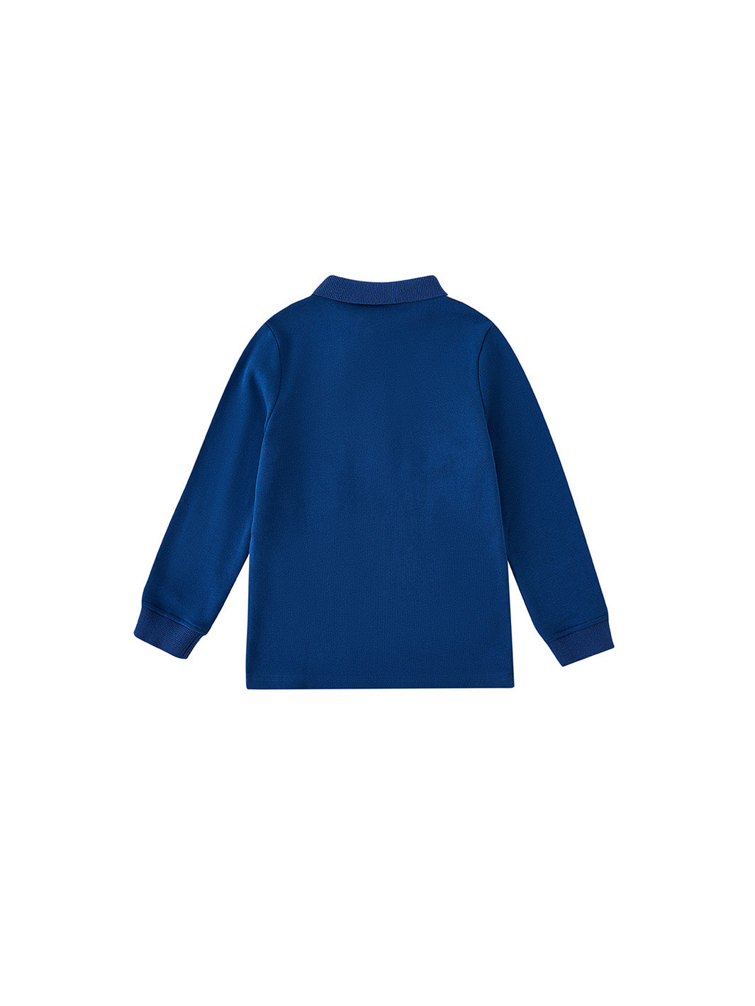 Color Blocks Polo