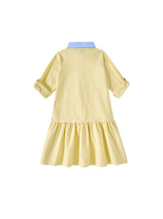 Combo Collar Dress
