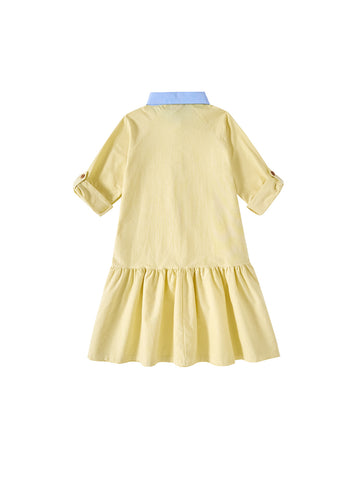 Combo Collar Dress