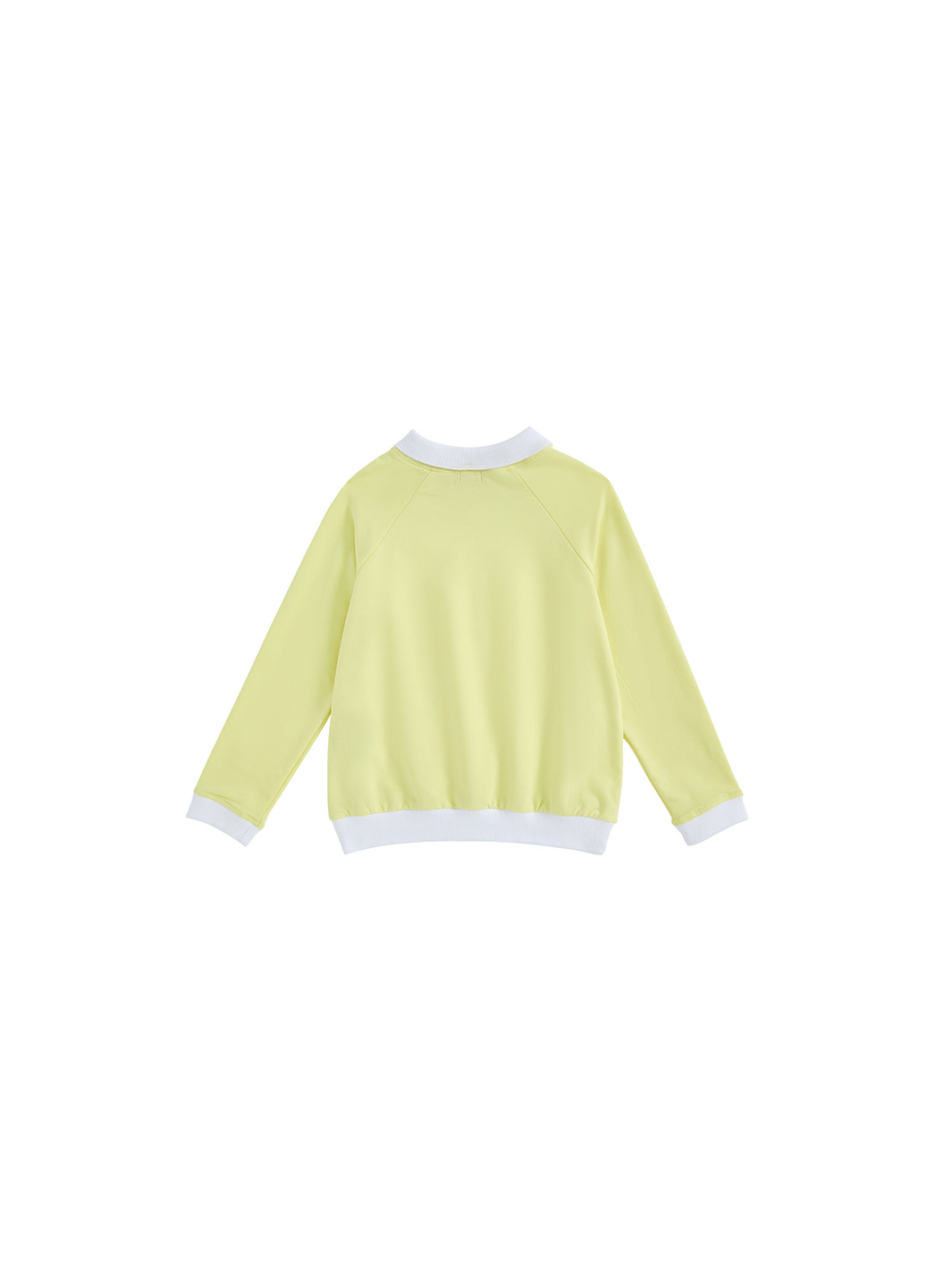 Rib Neck Collar Polo