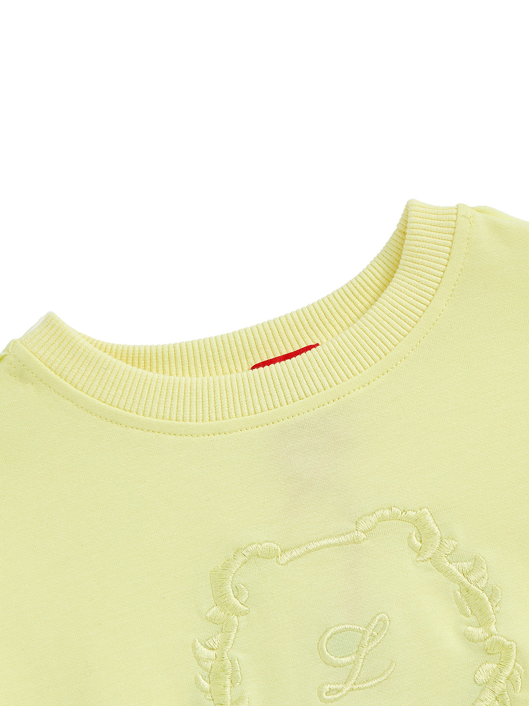 Big Emblem Top