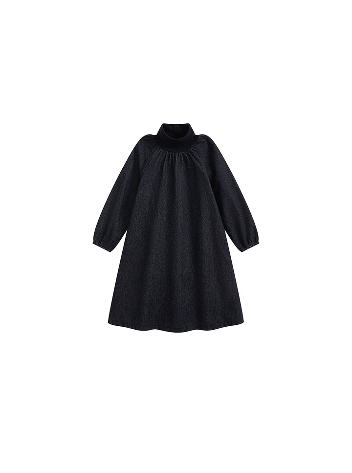 Denim Turtleneck Dress