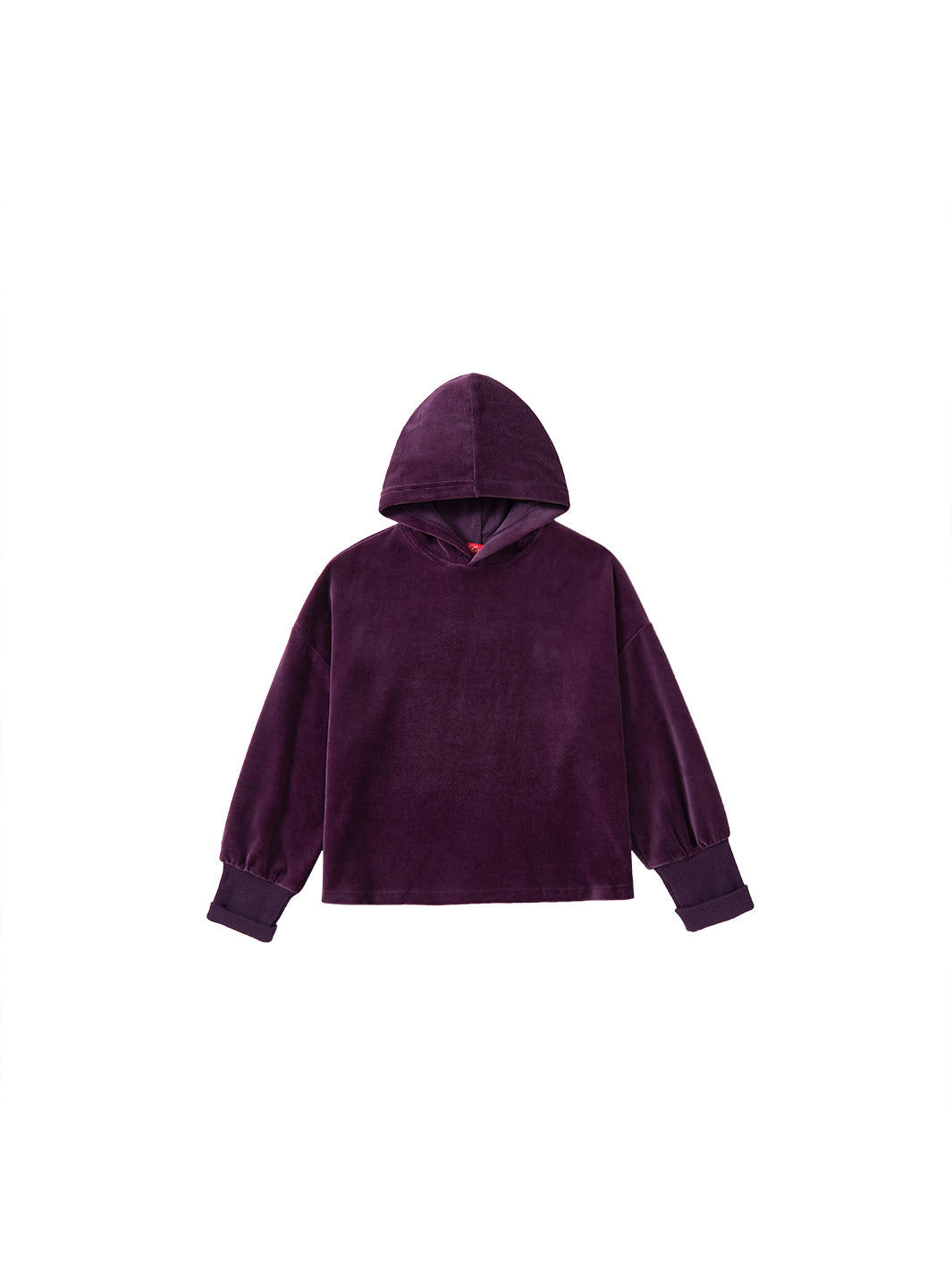 Velour Hooded Crop Length Top