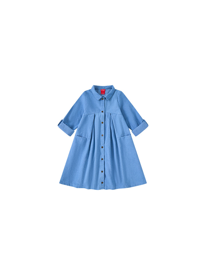 Denim Pleat Dress