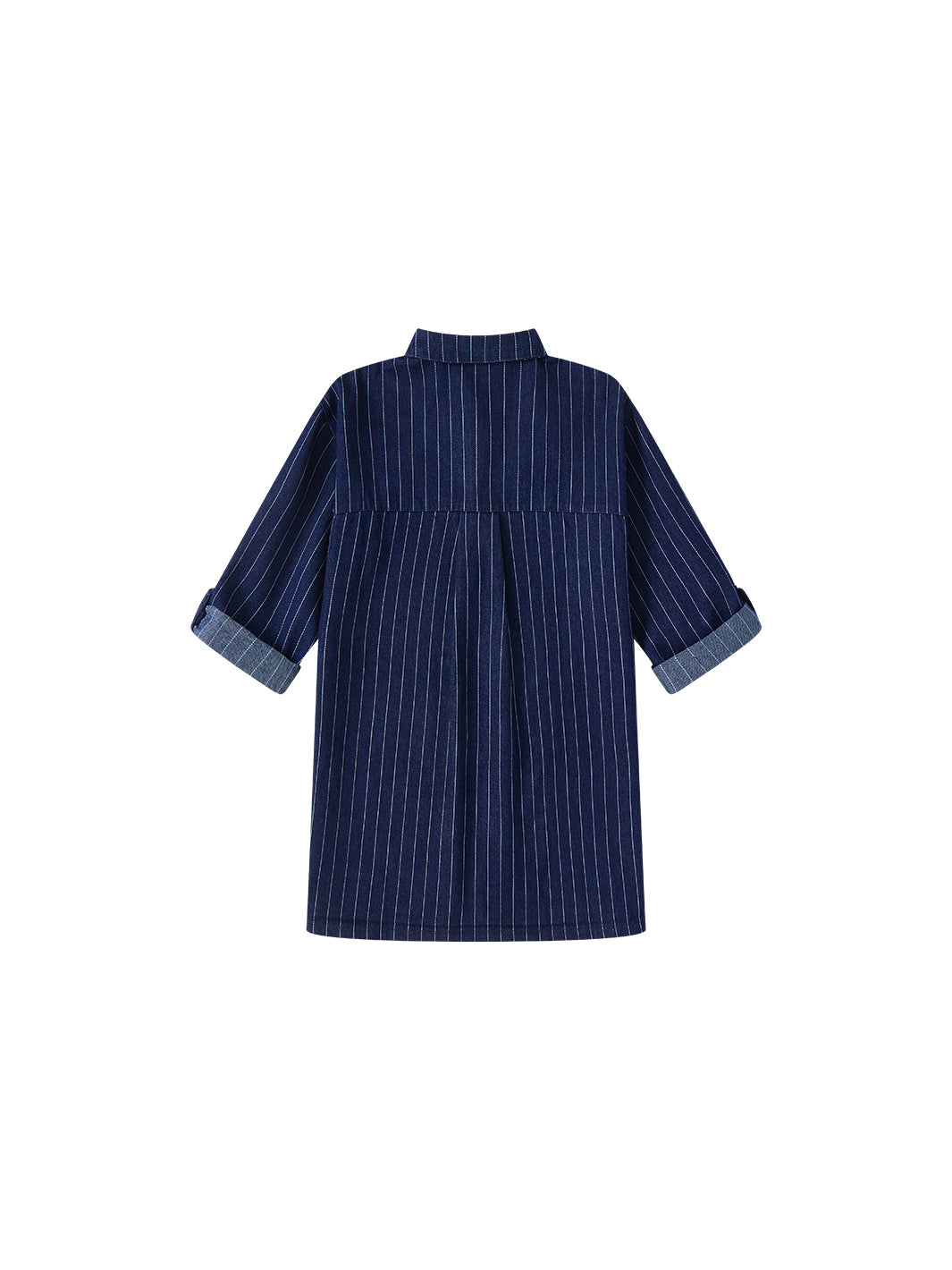Denim Stripe Collar Dress