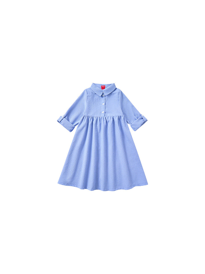 Picnic  Dress