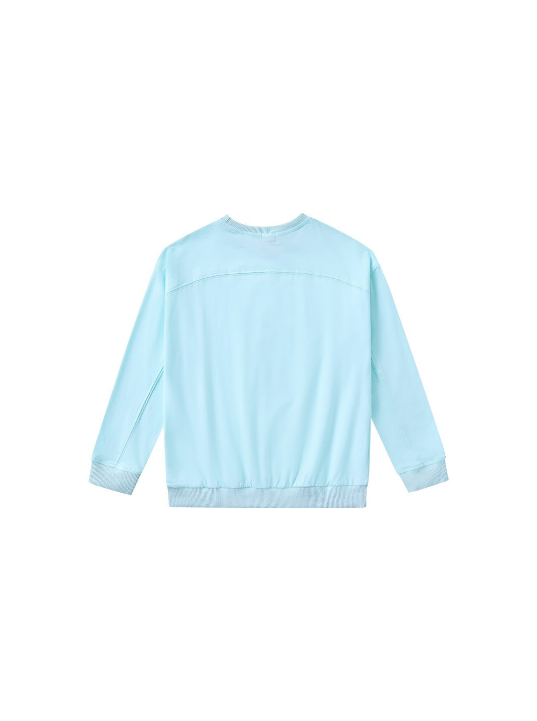 Bird Print Top -  Pale Mint