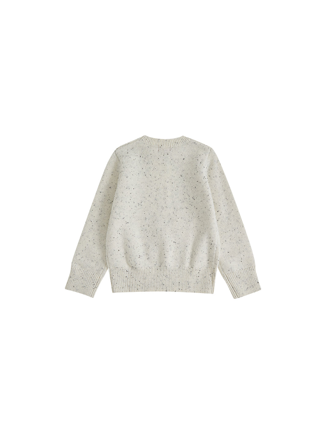 Speckled Sweater