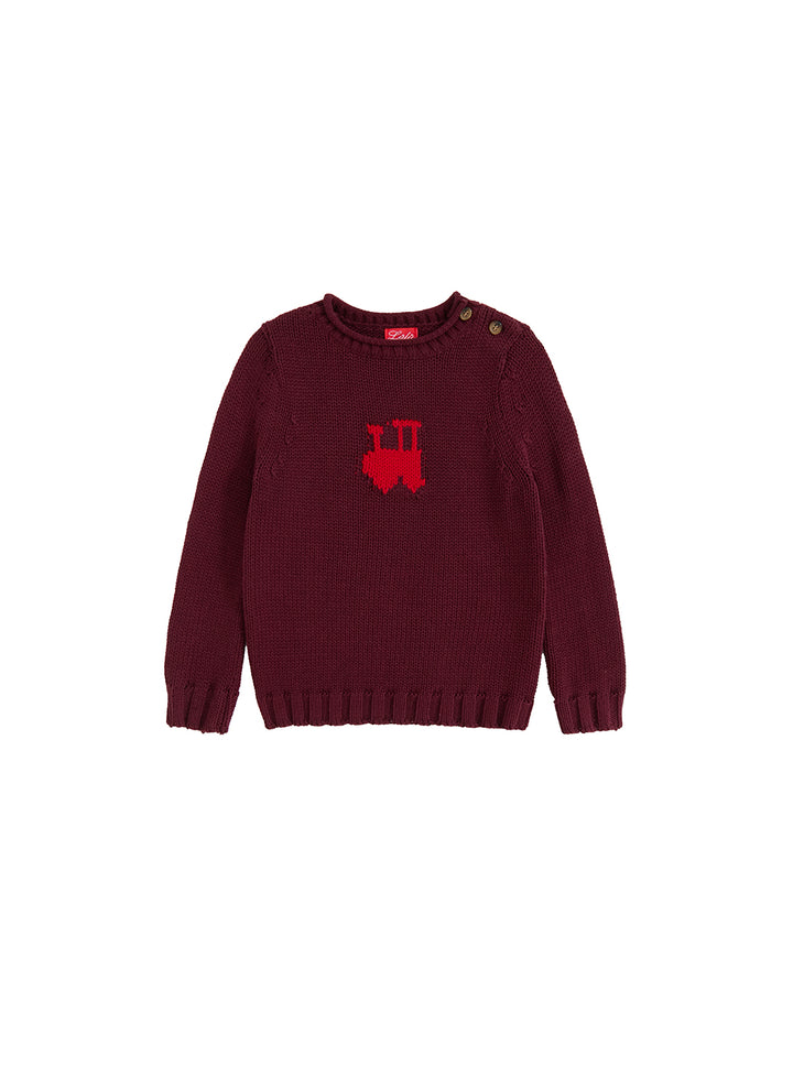 Berry Charm Train Sweater
