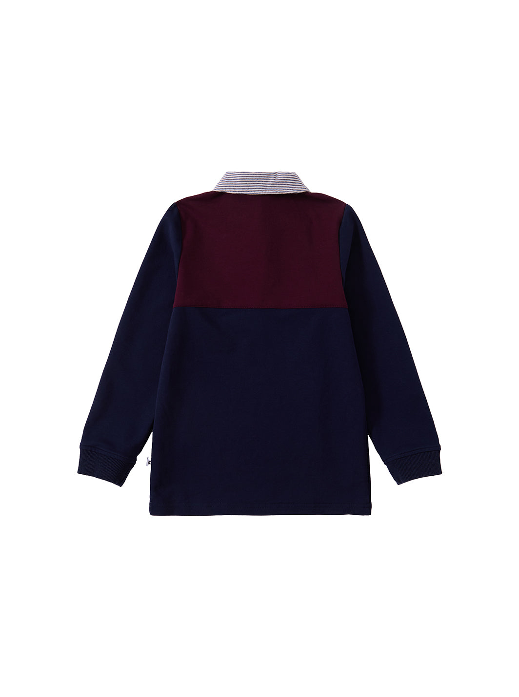 Striped Collar Polo
