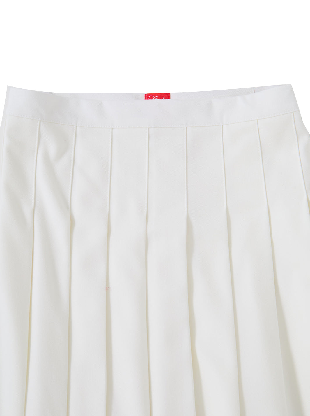 Brushed Pleated Skirt