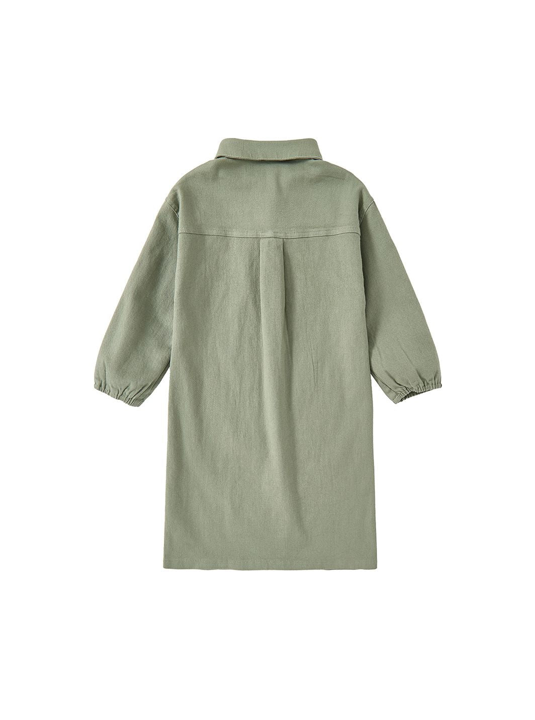 Twill Solid Shirt Style Dress - Pale Green