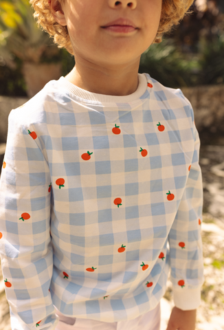 Fruit Check Print Top