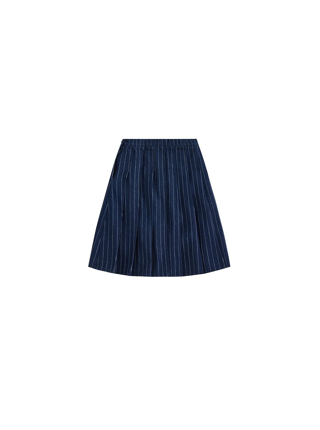 Denim Striped Pleated Skirt