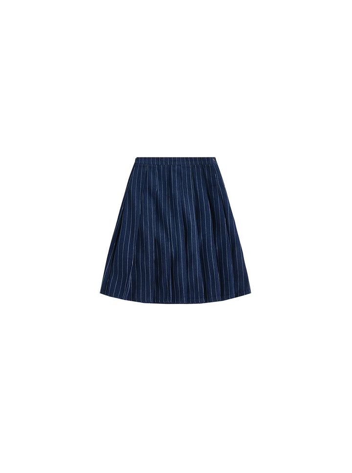 Denim Striped Pleated Skirt