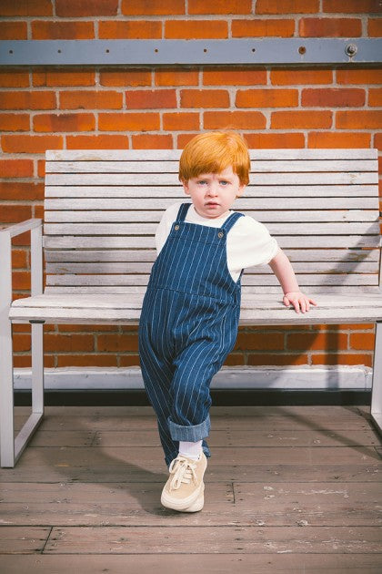 Railroad Stripe Pocket Overall